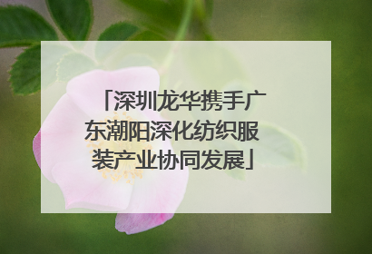 深圳龙华携手广东潮阳深化纺织服装产业协同发展