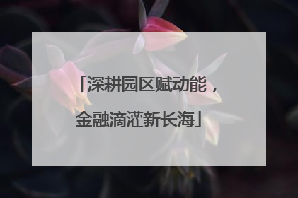 深耕园区赋动能，金融滴灌新长海