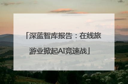 深蓝智库报告：在线旅游业掀起AI竞速战