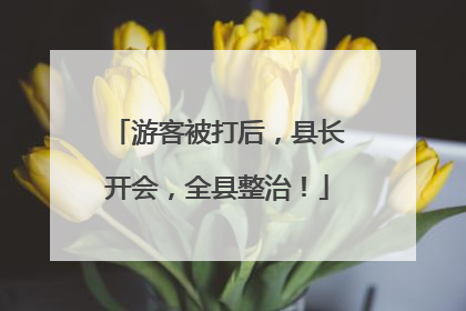 游客被打后，县长开会，全县整治！