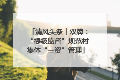 清风头条丨双牌：“提级监督”规范村集体“三资”管理