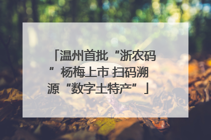 温州首批“浙农码”杨梅上市 扫码溯源“数字土特产”