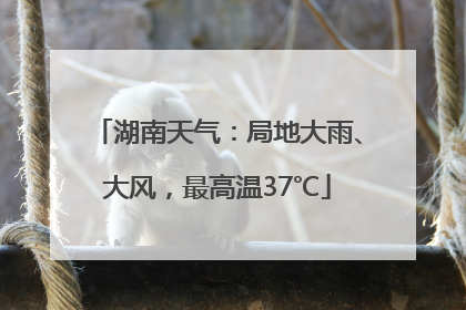 湖南天气：局地大雨、大风，最高温37℃