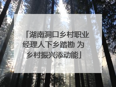 湖南洞口乡村职业经理人下乡踏勘 为乡村振兴添动能