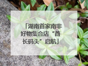 湖南首家南非好物集合店“酋长码头”启航