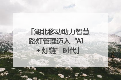 湖北移动助力智慧路灯管理迈入“AI＋灯链”时代