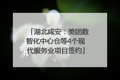 湖北咸安：美团数智化中心仓等4个现代服务业项目签约