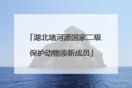 湖北堵河源国家二级保护动物添新成员