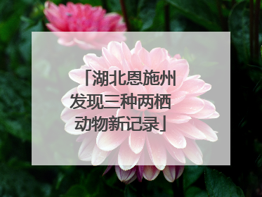 湖北恩施州发现三种两栖动物新记录