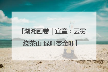 湖湘画卷｜宜章：云雾绕茶山 绿叶变金叶