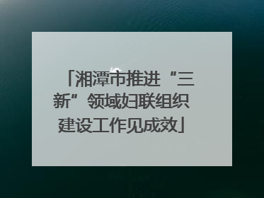 湘潭市推进“三新”领域妇联组织建设工作见成效