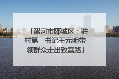 漯河市郾城区：驻村第一书记王元明带领群众走出致富路