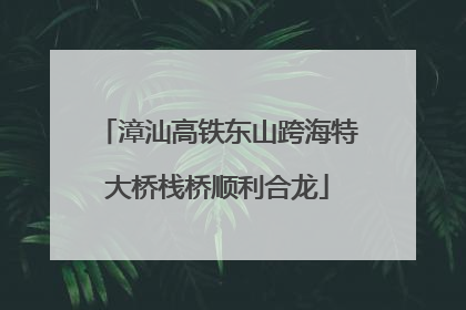 漳汕高铁东山跨海特大桥栈桥顺利合龙