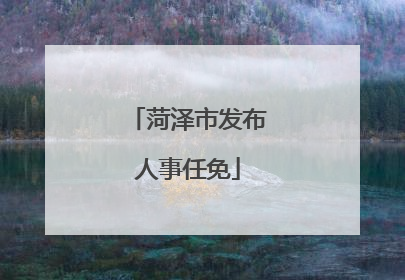 菏泽市发布人事任免