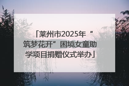 莱州市2025年“筑梦花开”困境女童助学项目捐赠仪式举办
