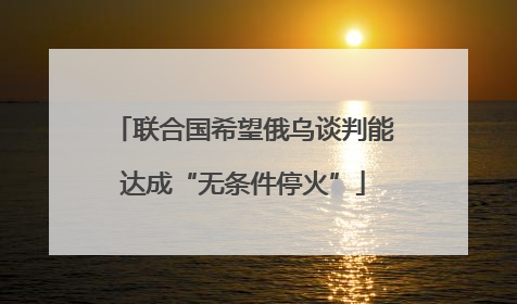 联合国希望俄乌谈判能达成“无条件停火”