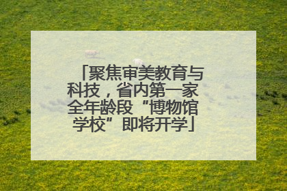 聚焦审美教育与科技，省内第一家全年龄段“博物馆学校”即将开学