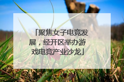 聚焦女子电竞发展，经开区举办游戏电竞产业沙龙
