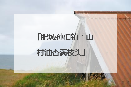 肥城孙伯镇：山村油杏满枝头