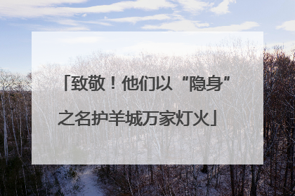 致敬！他们以“隐身”之名护羊城万家灯火