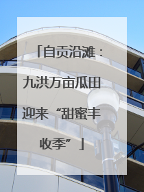 自贡沿滩：九洪万亩瓜田迎来“甜蜜丰收季”