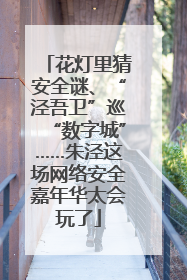 花灯里猜安全谜、“泾吾卫”巡“数字城”……朱泾这场网络安全嘉年华太会玩了