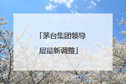 茅台集团领导层最新调整