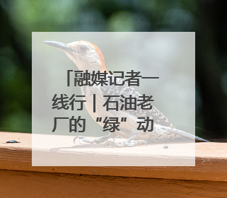 融媒记者一线行｜石油老厂的“绿”动革命