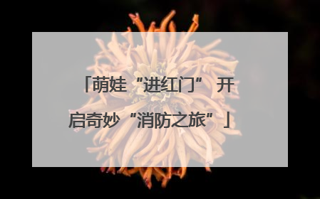 萌娃“进红门” 开启奇妙“消防之旅”