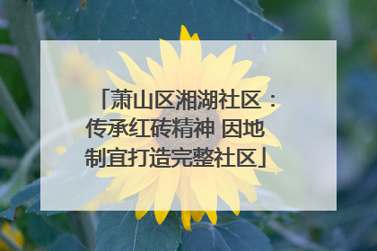 萧山区湘湖社区：传承红砖精神 因地制宜打造完整社区