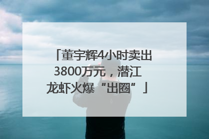 董宇辉4小时卖出3800万元，潜江龙虾火爆“出圈”