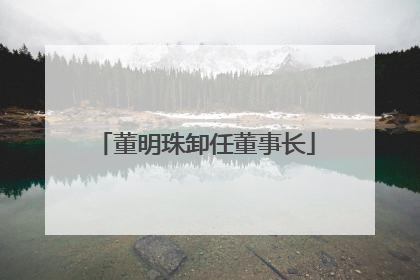 董明珠卸任董事长