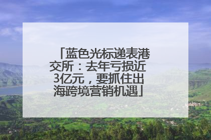 蓝色光标递表港交所：去年亏损近3亿元，要抓住出海跨境营销机遇