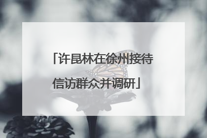 许昆林在徐州接待信访群众并调研