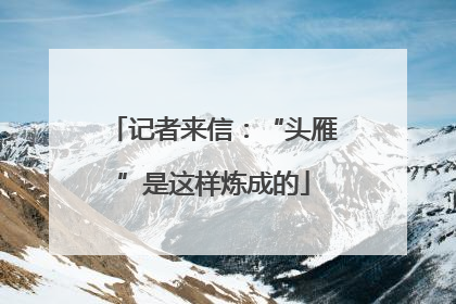 记者来信：“头雁”是这样炼成的