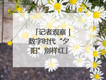 记者观察｜数字时代“夕阳”别样红