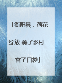 衡阳县：荷花绽放 美了乡村 富了口袋