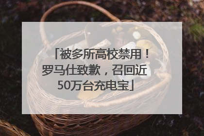 被多所高校禁用！罗马仕致歉，召回近50万台充电宝