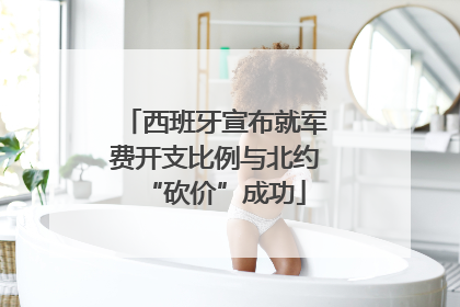 西班牙宣布就军费开支比例与北约“砍价”成功