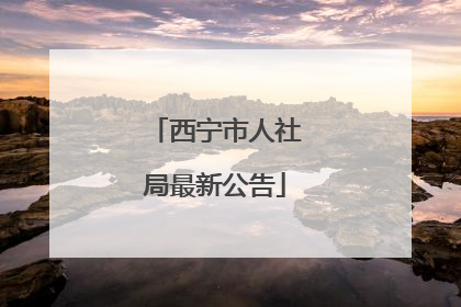 西宁市人社局最新公告