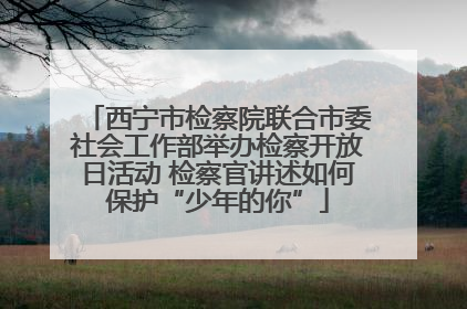 西宁市检察院联合市委社会工作部举办检察开放日活动 检察官讲述如何保护“少年的你”