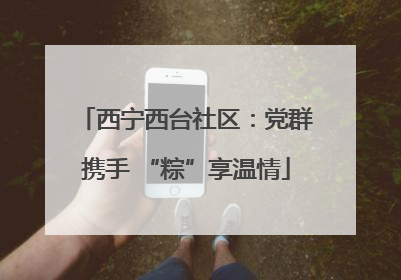 西宁西台社区：党群携手 “粽”享温情