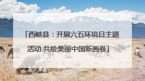 西峡县：开展六五环境日主题活动 共绘美丽中国新画卷