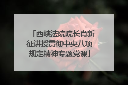 西峡法院院长肖新征讲授贯彻中央八项规定精神专题党课