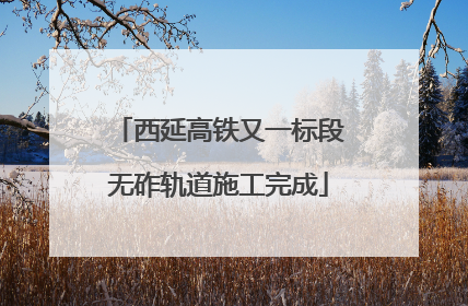 西延高铁又一标段无砟轨道施工完成