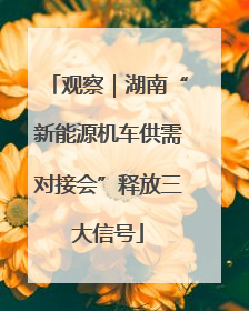 观察｜湖南“新能源机车供需对接会”释放三大信号