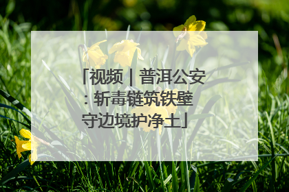 视频｜普洱公安：斩毒链筑铁壁 守边境护净土