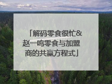 解码零食很忙&赵一鸣零食与加盟商的共赢方程式
