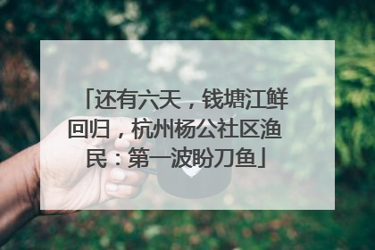 还有六天，钱塘江鲜回归，杭州杨公社区渔民：第一波盼刀鱼