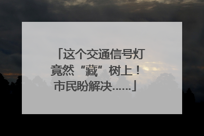 这个交通信号灯竟然“藏”树上！市民盼解决……